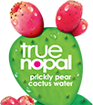 prickly pear cactus water logo with red prickly pears
